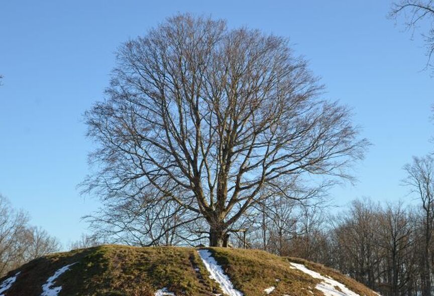 TRAQ – Kvalifisering for trerisikovurdering 2026 (TRAQ 3.0-programmet)